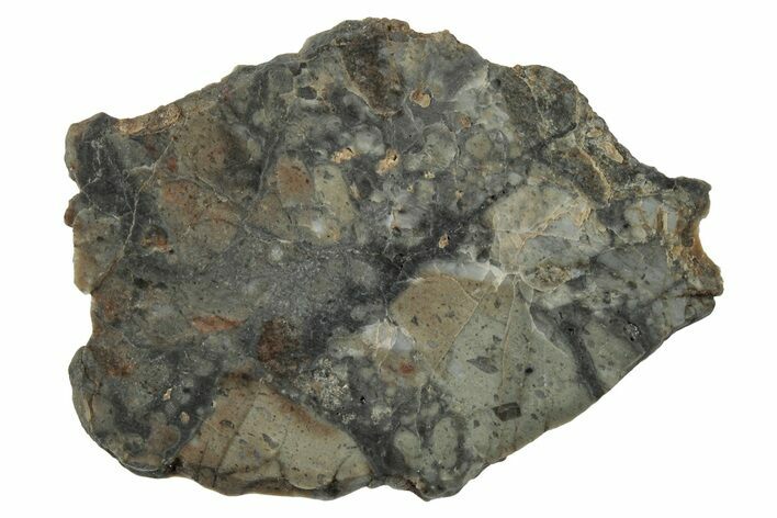 Lunar Meteorite Slice ( g) - NWA #346565